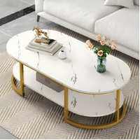 Marble Coffee Table Modern Oval Frame With Gloss Finish (White Gold)