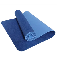 Double Layer Yoga Mat Two Tone Colour TPE Lightweight Pilates Mat (Blue)